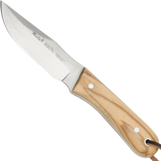 Muela Bison Olive Muela Bison Olive