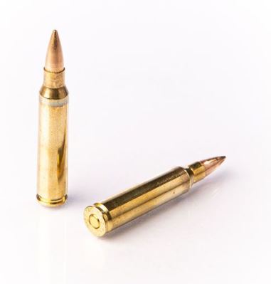 Fiocchi FMJ .223 Rem. 62gr. Fiocchi FMJ .223 Rem. 62gr.