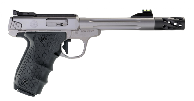 S&W SW22 Victory Target